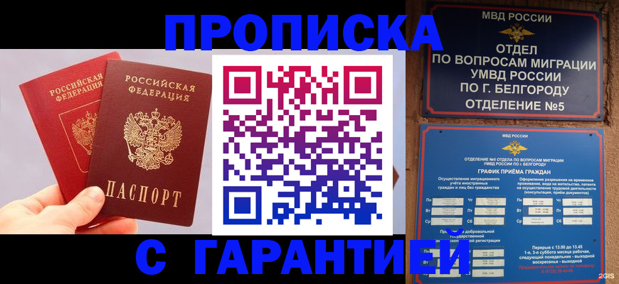 прописка 2025 в Ростове